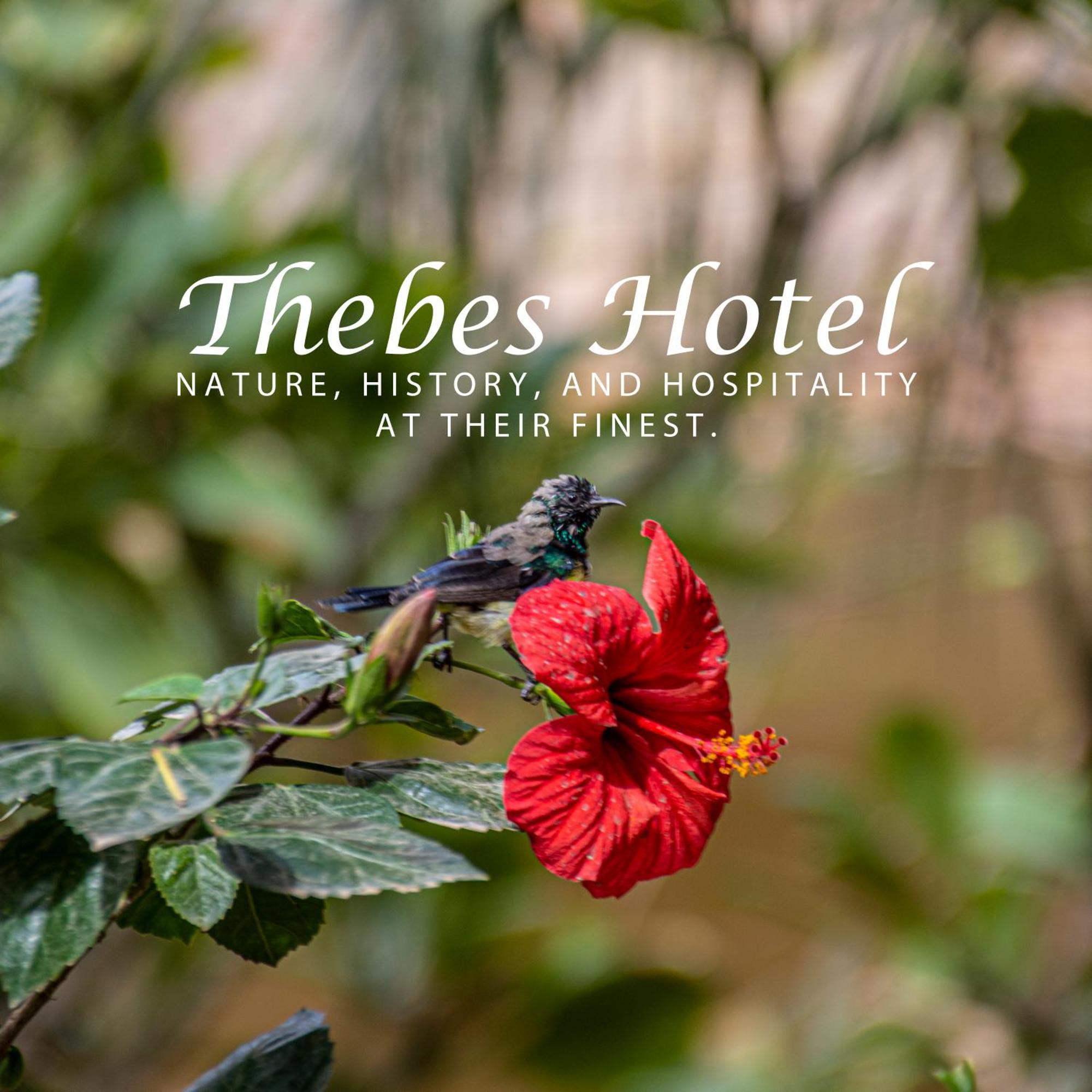 Thebes Hotel Луксор Экстерьер фото