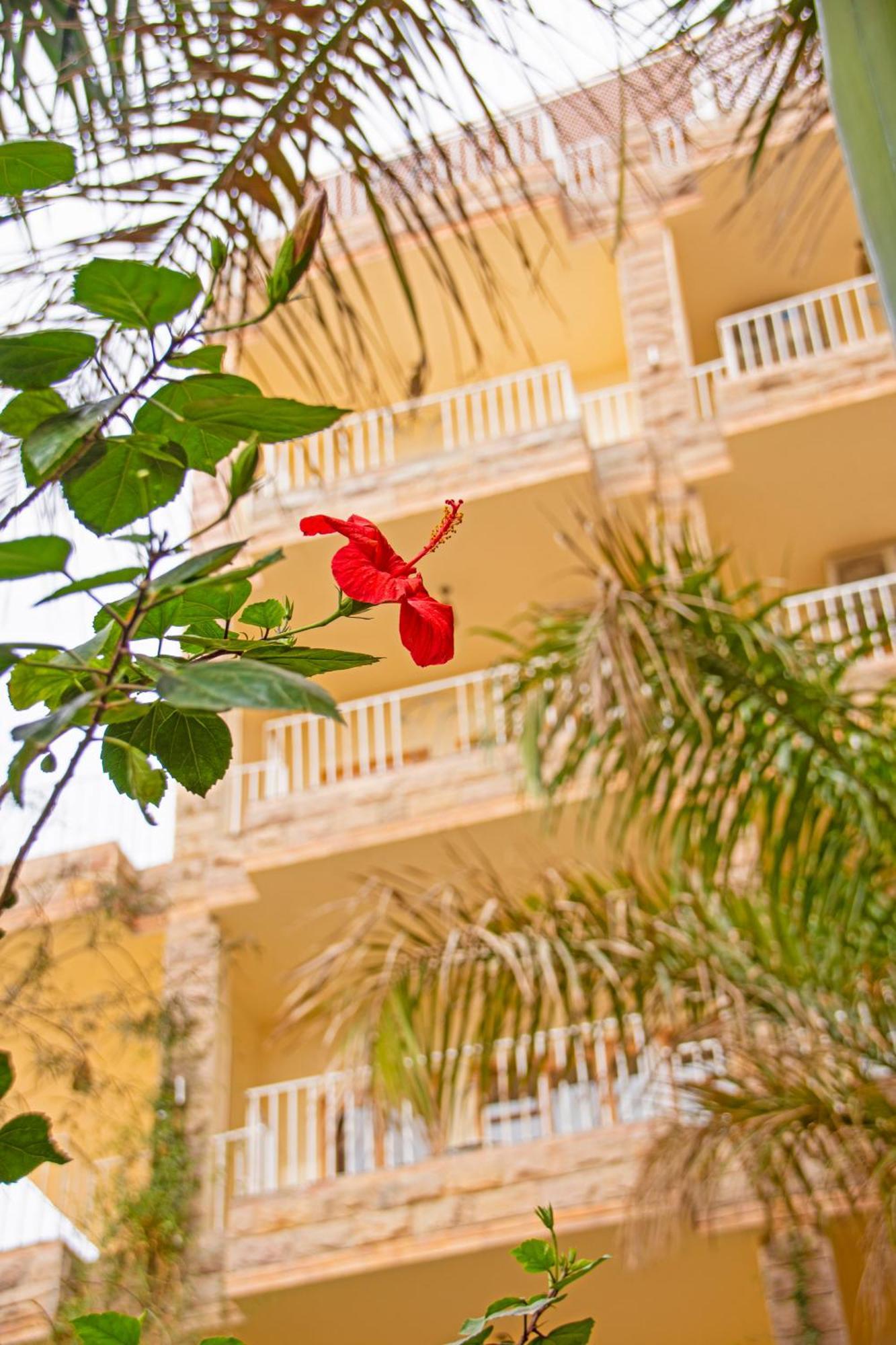 Thebes Hotel Луксор Экстерьер фото